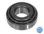 Rear Wheel Bearing E21